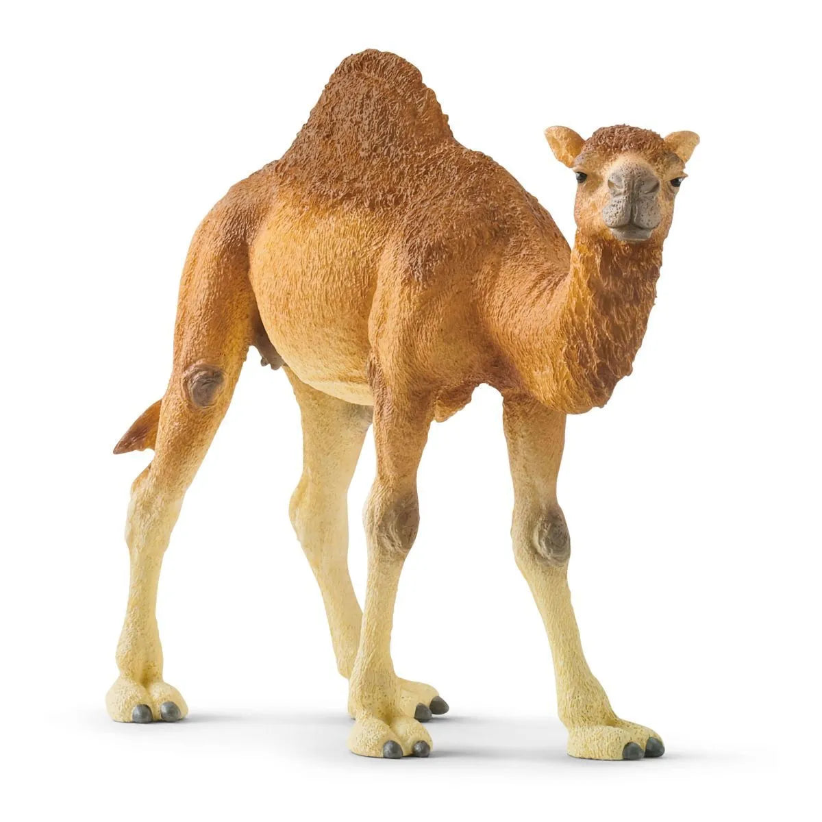 SCHLEICH - DROMEDARY CAMEL
