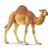 SCHLEICH - DROMEDARY CAMEL