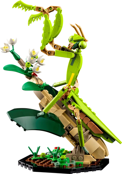 LEGO 21342 THE INSECT COLLECTION