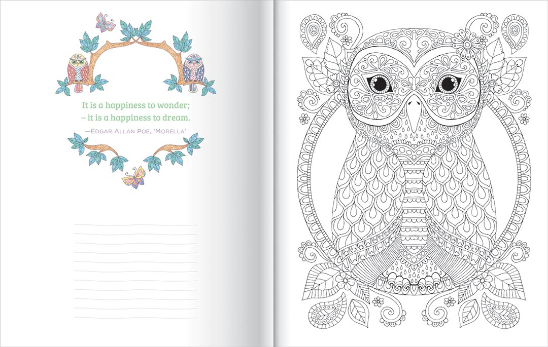 COLOURING COLLECTION - OWLS