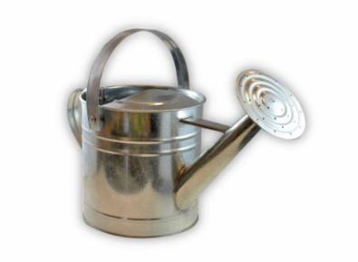 TWIGZ PRO-3L GALVANISED WATERING CAN