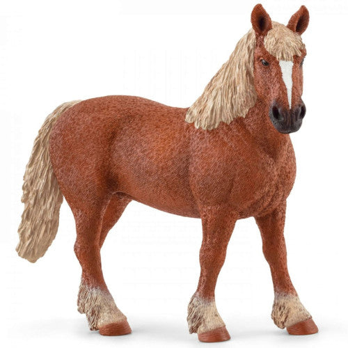 SCHLEICH - BELGIAN DRAFT HORSE